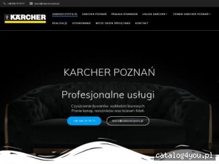 Zawszeczysto.pl Czyszczenie dywanów Karcher Poznań screen