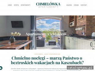 Noclegi Chmielno - domki nad jeziorem w Chmielnie screen