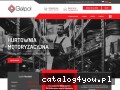 GALPOL – hurtownia motoryzacyjna, części samochodowe img